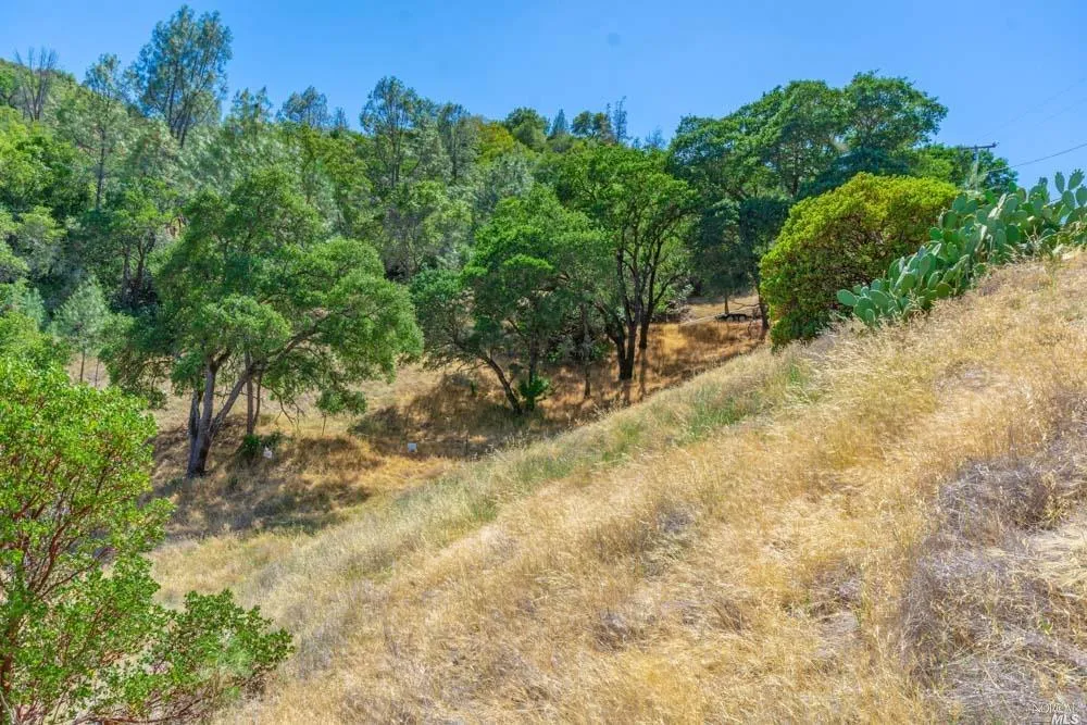 259 Sugarloaf Drive Napa, CA 94558