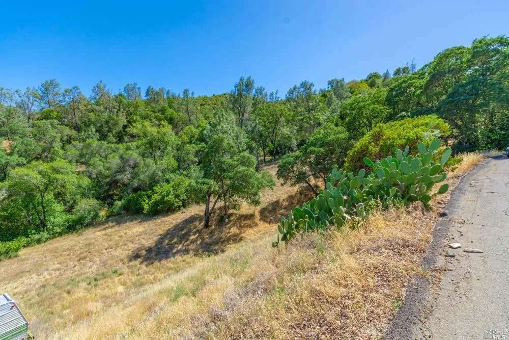 259 Sugarloaf Drive Napa, CA 94558