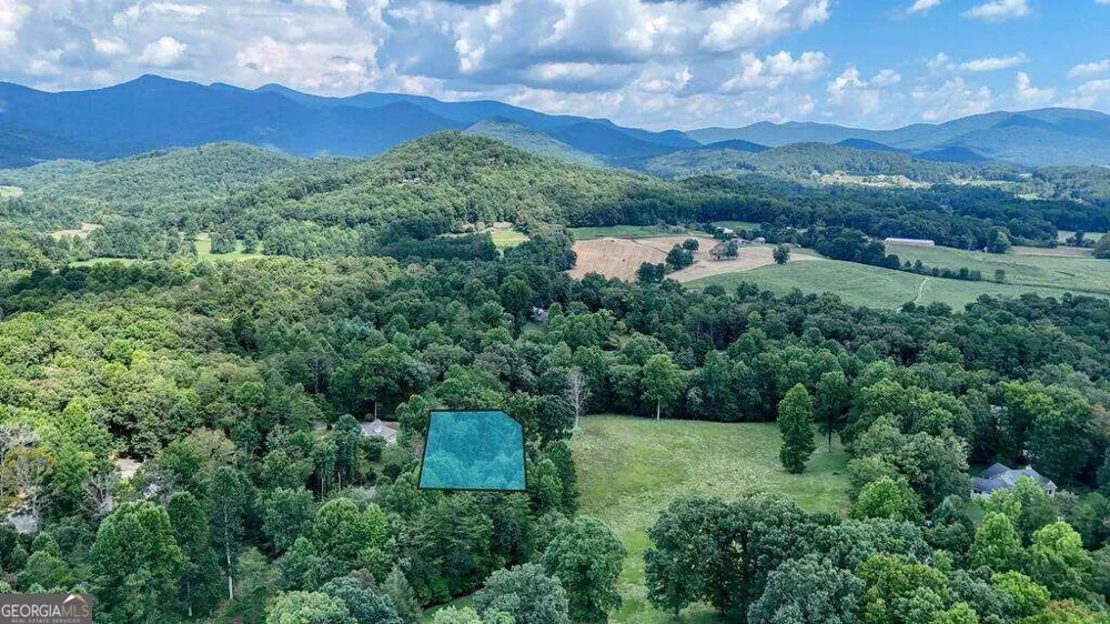 754 Honeysuckle LN Blairsville, GA 30512