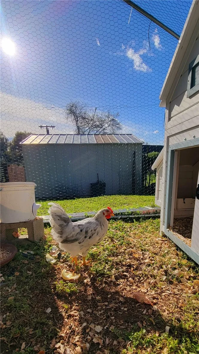 289 Skyline Boulevard Oroville, CA 95966