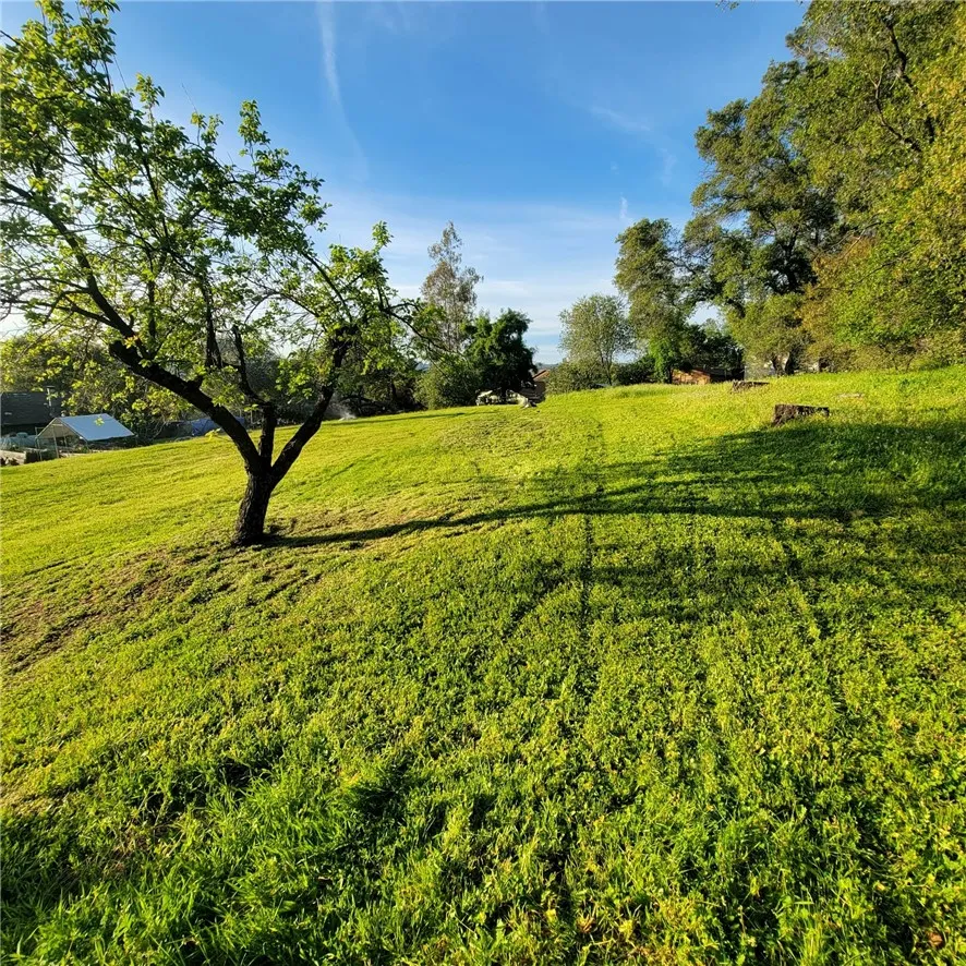 289 Skyline Boulevard Oroville, CA 95966