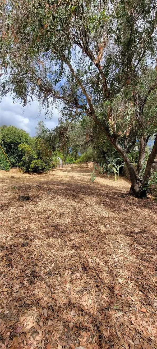 289 Skyline Boulevard Oroville, CA 95966