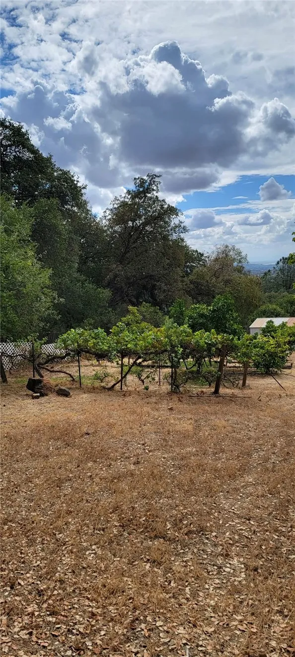 289 Skyline Boulevard Oroville, CA 95966