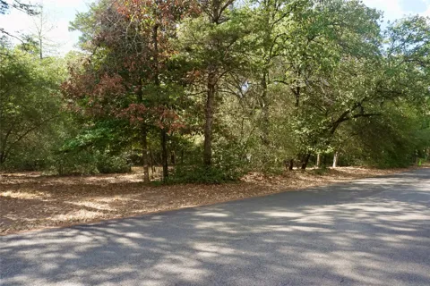 Lot 146 (Evening Shadows Trail) Trail