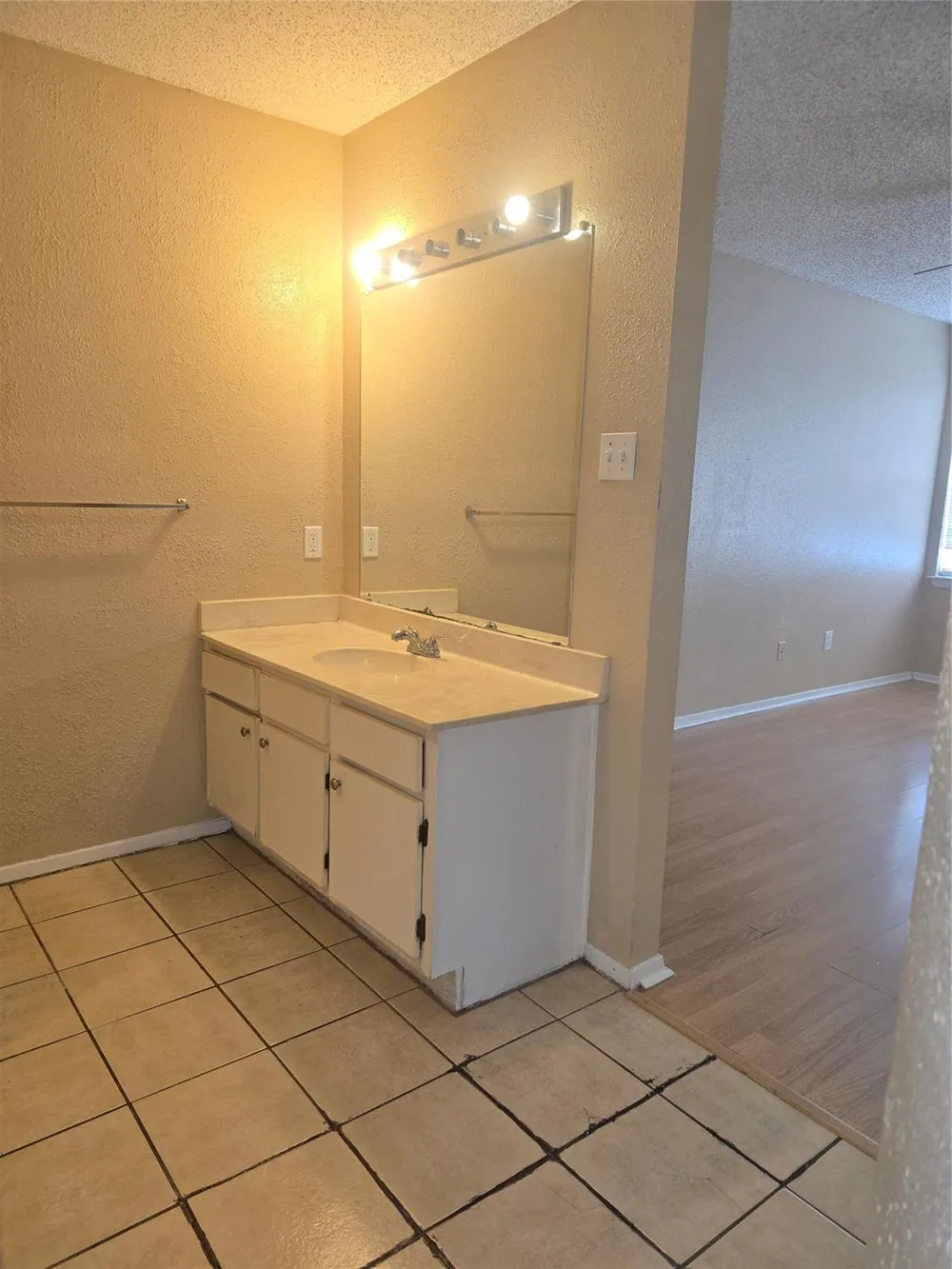 6319 Cattails Lane #63 Houston, TX 77035