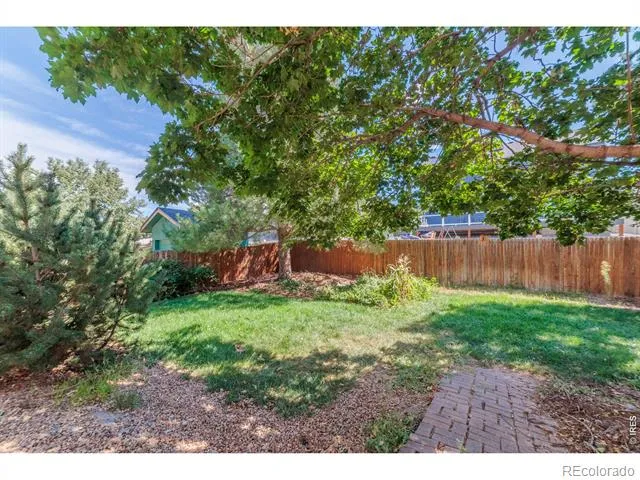 306 Hawthorn Street Frederick, CO 80530