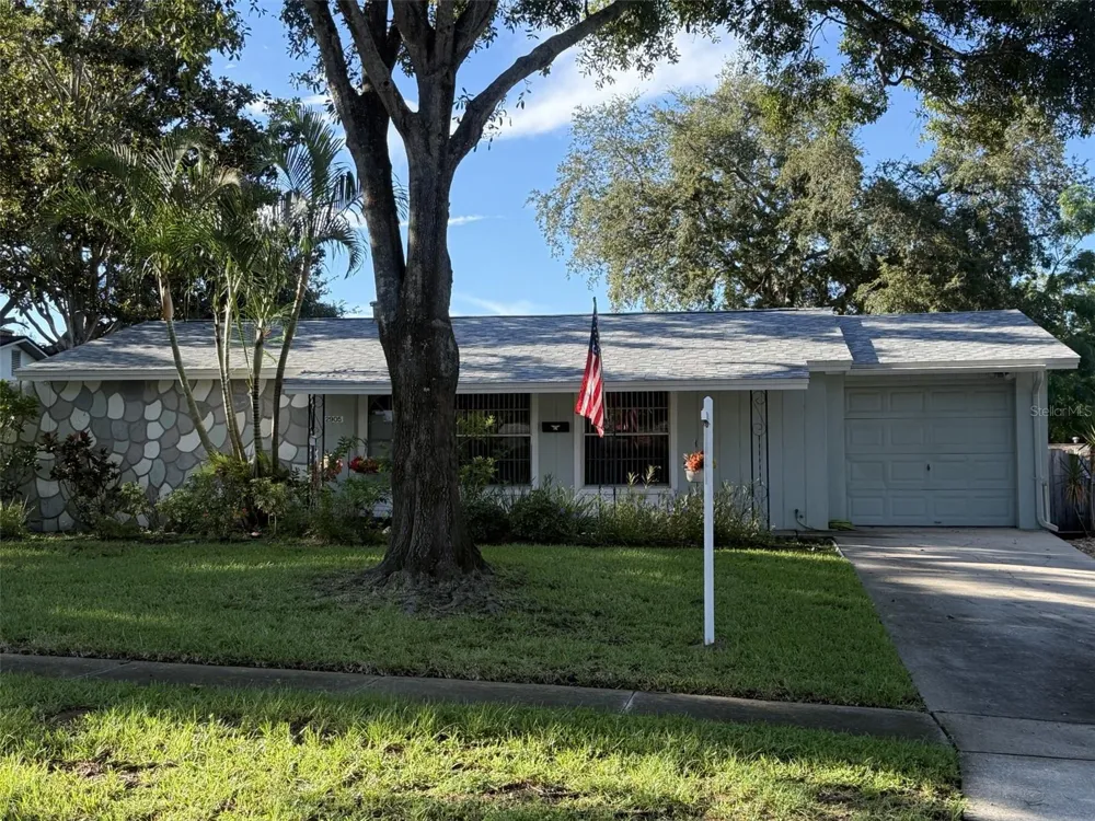2905 LEMONWOOD STREET Clearwater, FL 33759