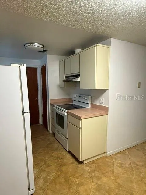 2905 LEMONWOOD STREET Clearwater, FL 33759