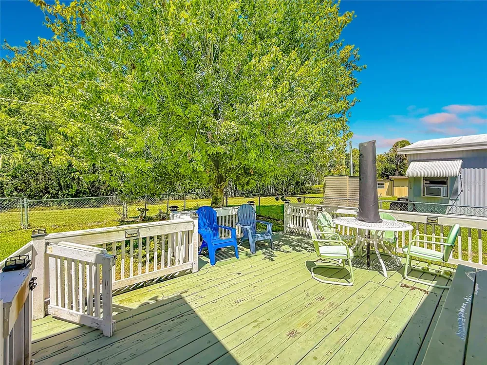1157 CAPELLA DRIVE Tavares, FL 32778