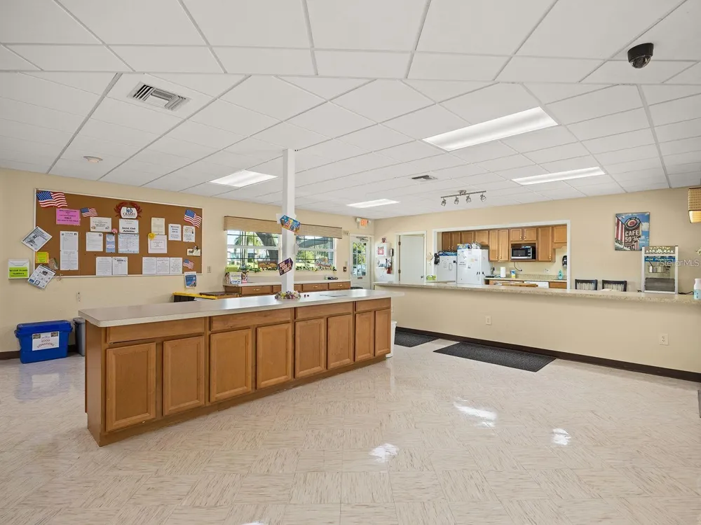 1157 CAPELLA DRIVE Tavares, FL 32778