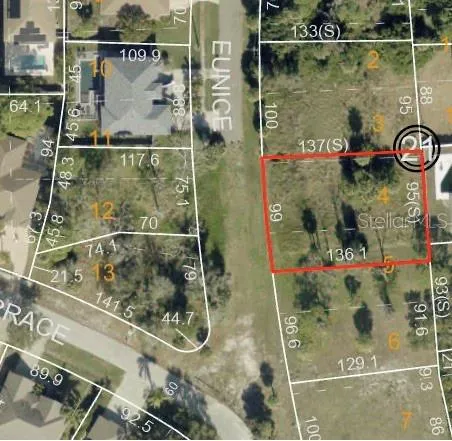 EUNICE DRIVE Tarpon Springs, FL 34689