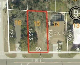 GULF ROAD Tarpon Springs, FL 34689