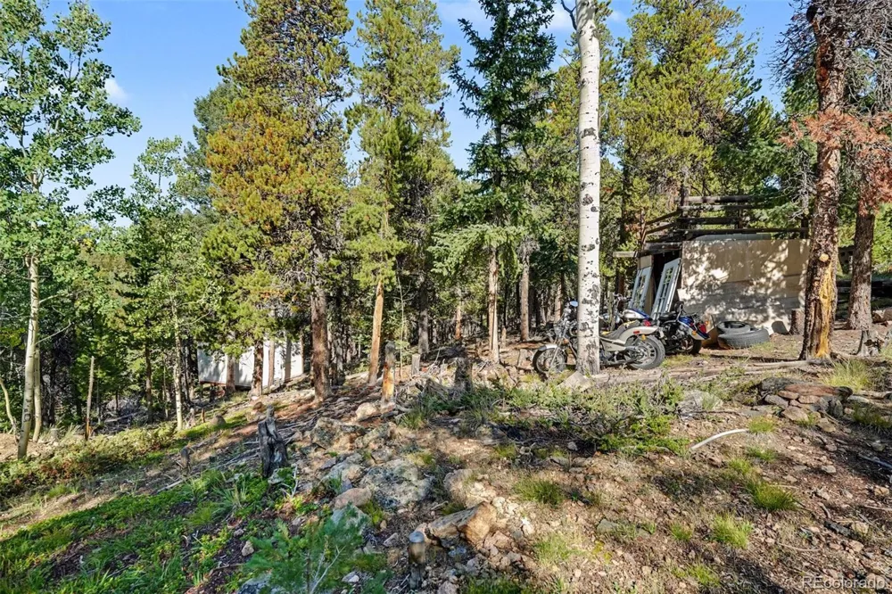 11233 Conifer Mountain Road Conifer, CO 80433