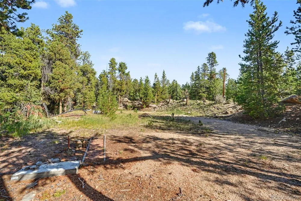 11233 Conifer Mountain Road Conifer, CO 80433