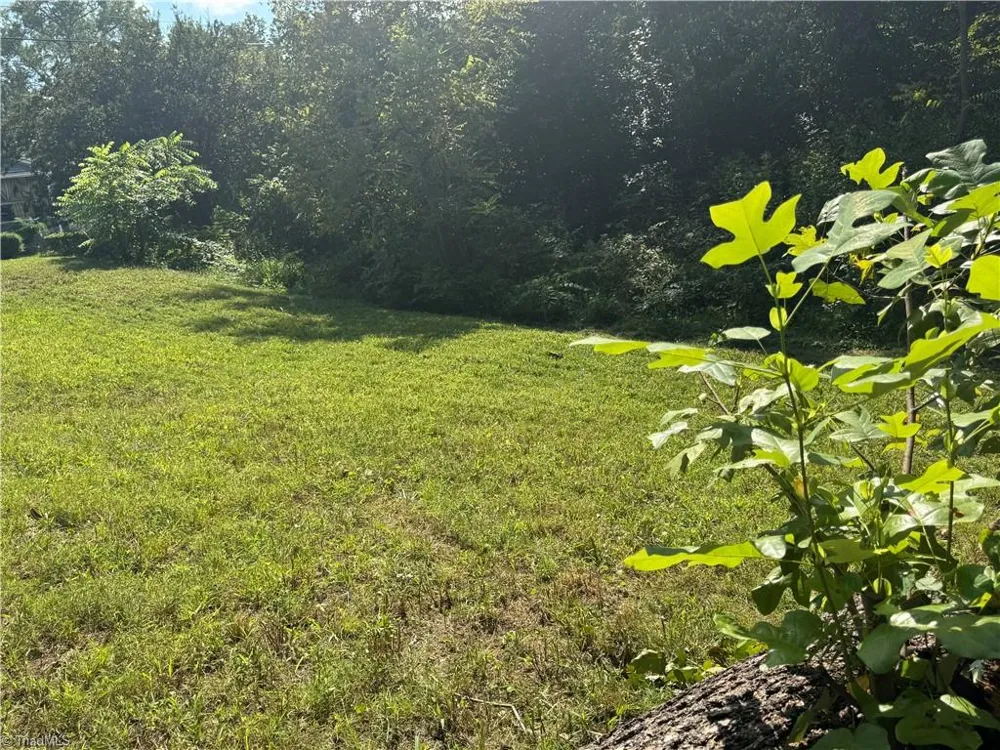 2329 Dunbar Street Winston-Salem, NC 27105
