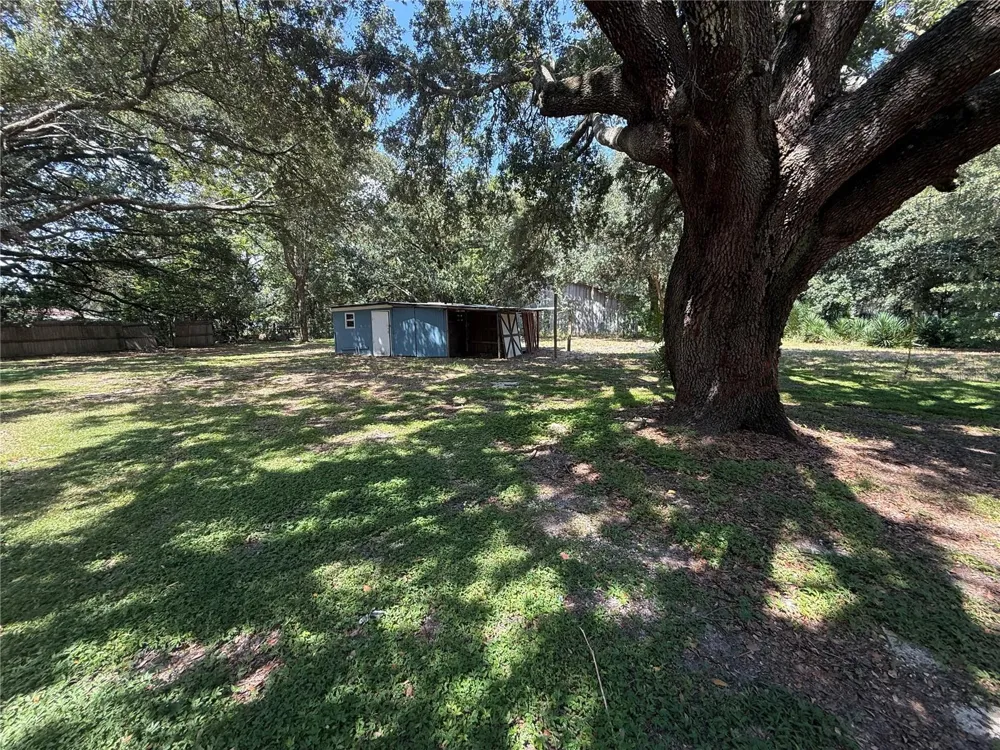 9906 N RD 33 Polk City, FL 33868
