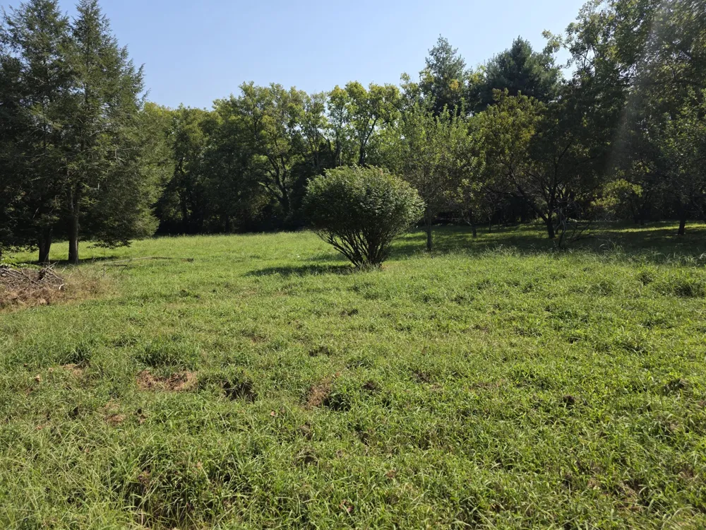 285 Haywood Ln Nashville, TN 37211