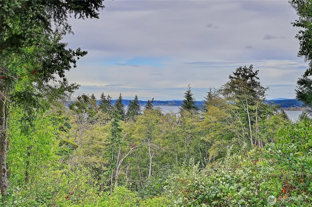921 James Way Camano Island, WA 98282
