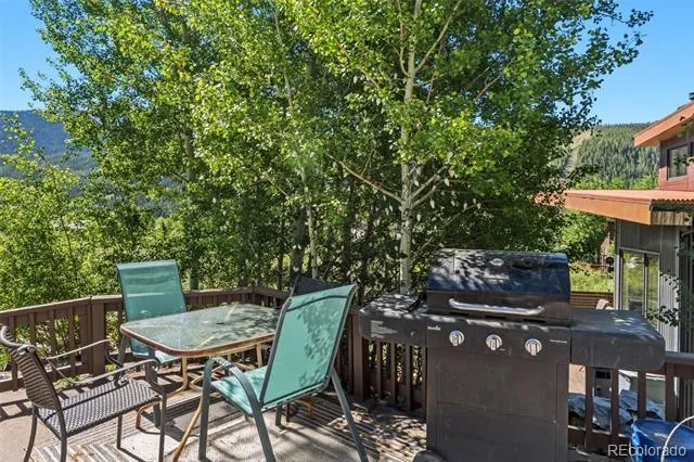 640 Meisel Drive Keystone, CO 80435