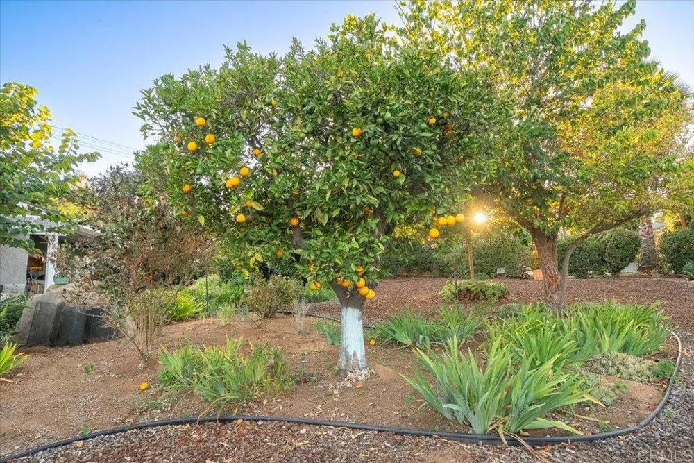 1346 Birch Avenue Escondido, CA 92027