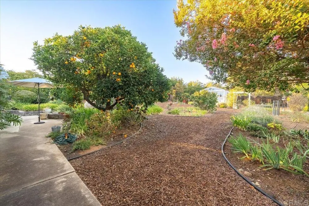 1346 Birch Avenue Escondido, CA 92027