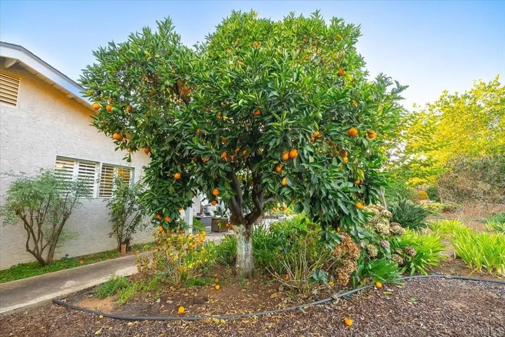 1346 Birch Avenue Escondido, CA 92027