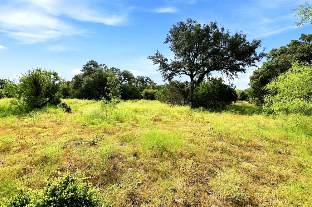 3560 County Road 236 Liberty Hill, TX 78642