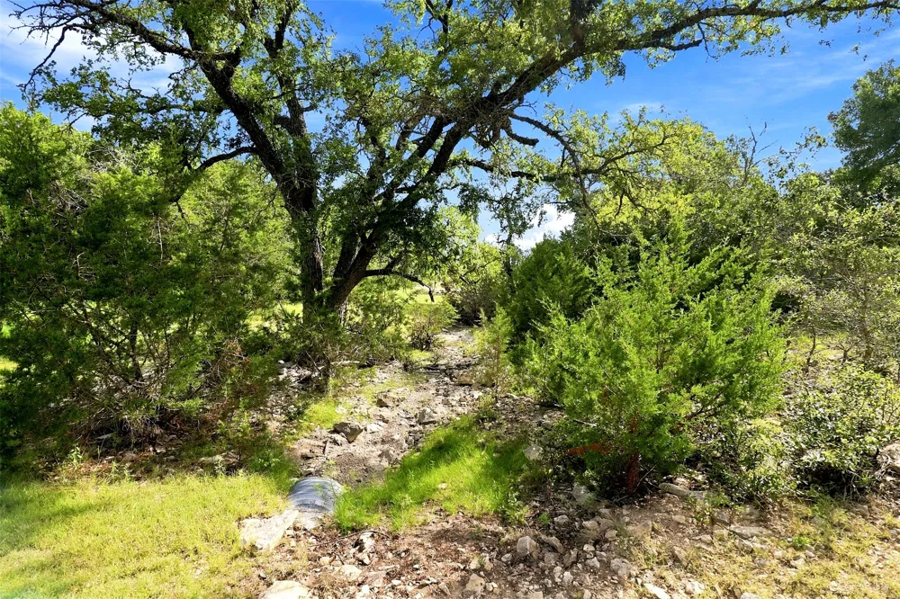 3560 County Road 236 Liberty Hill, TX 78642
