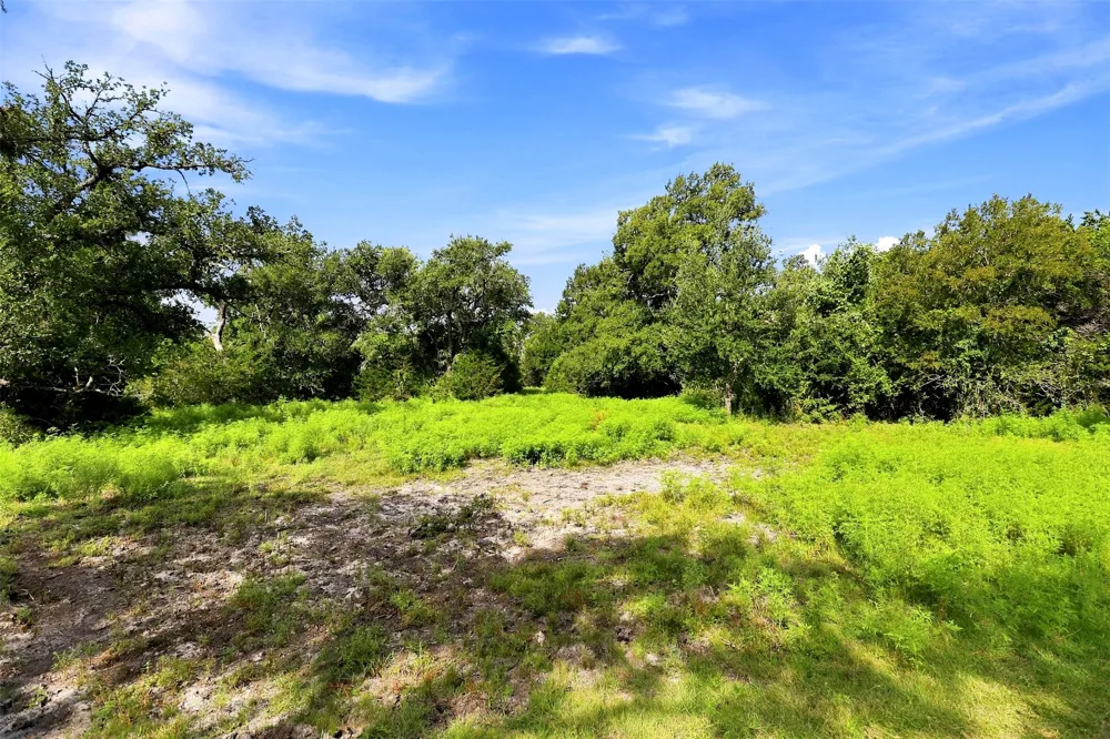 3560 County Road 236 Liberty Hill, TX 78642