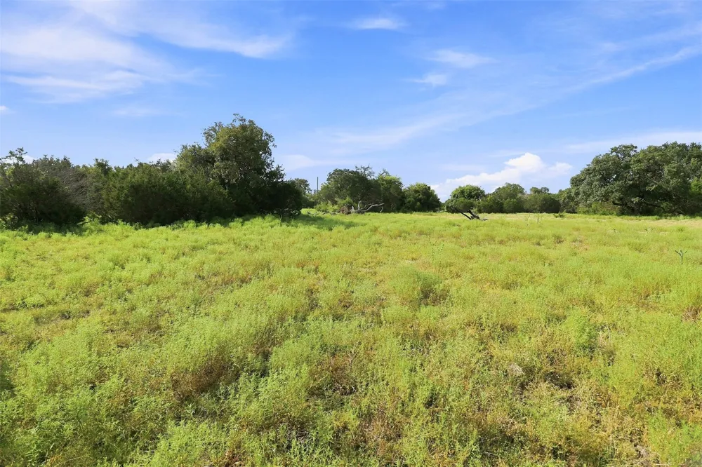 3560 County Road 236 Liberty Hill, TX 78642