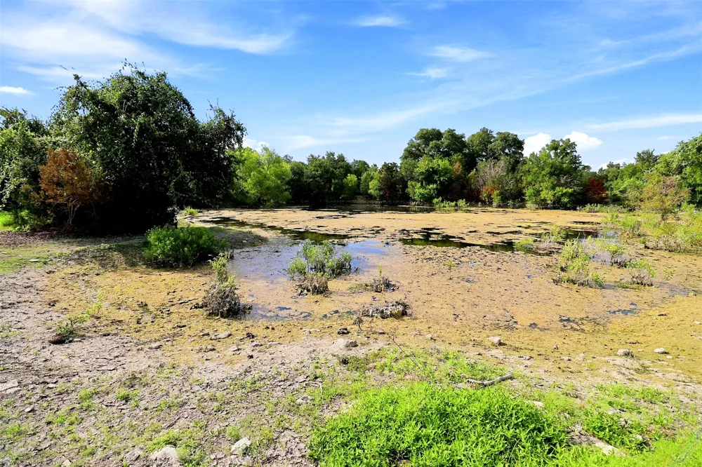3560 County Road 236 Liberty Hill, TX 78642