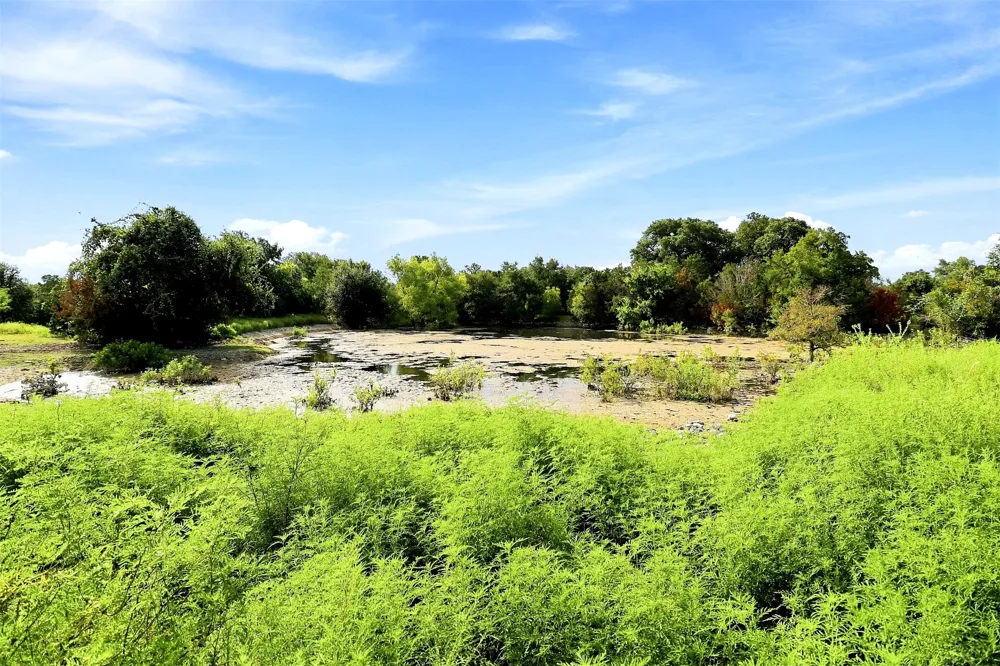 3560 County Road 236 Liberty Hill, TX 78642