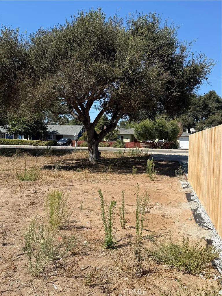 Ash Street Arroyo Grande, CA 93420