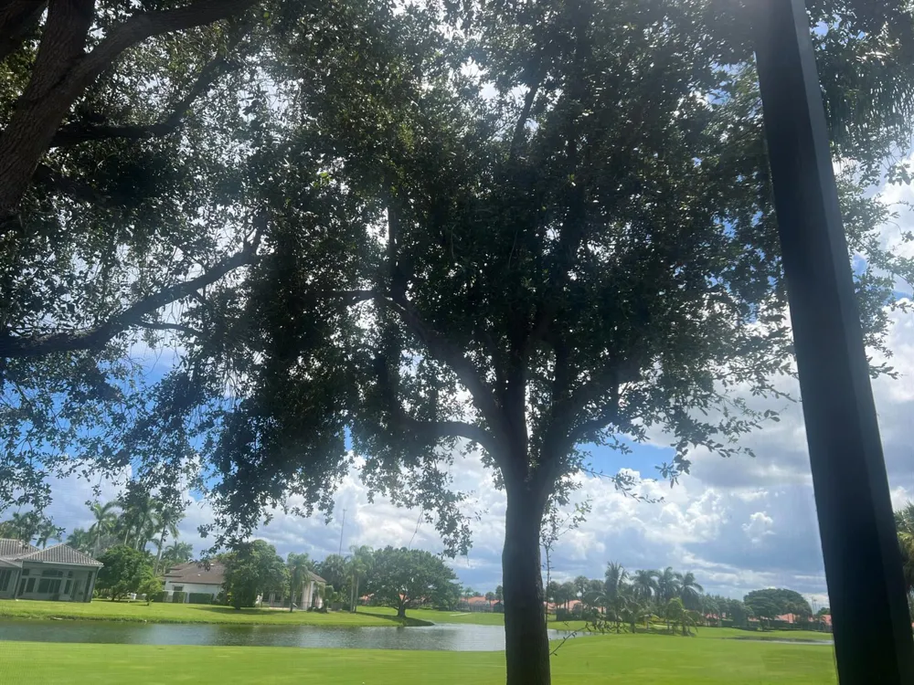 4194 IMPERIAL ISLE DRIVE Lake Worth, FL 33449