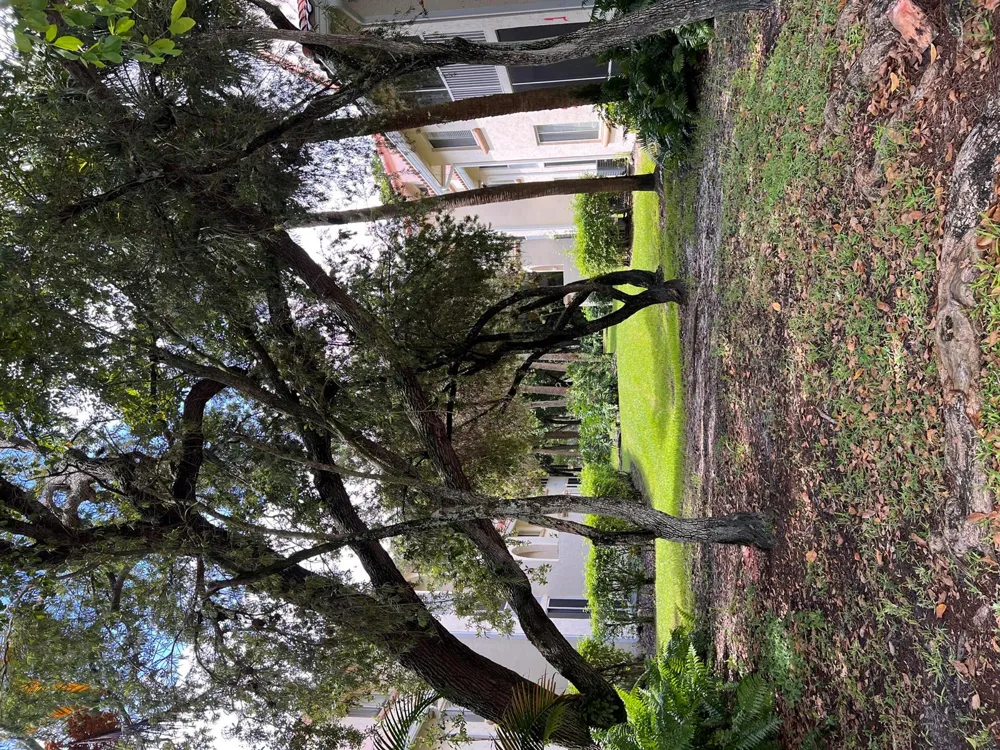 1103 Glenmoor Drive West Palm Beach, FL 33409