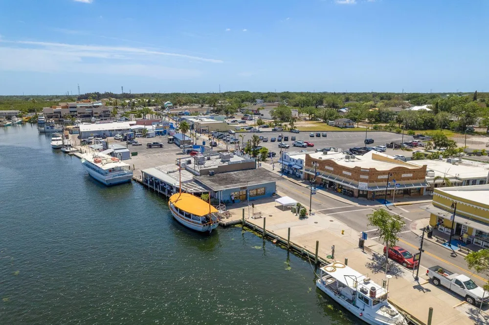 112 E MARTIN LUTHER KING JR DRIVE Tarpon Springs, FL 34689