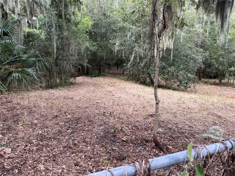 4120 LAUREL CREST DRIVE Mulberry, FL 33860