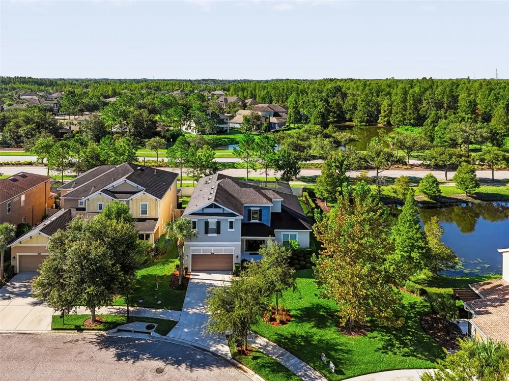 8781 BELLA VITA CIRCLE Land O Lakes, FL 34637