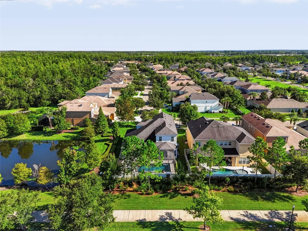 8781 BELLA VITA CIRCLE Land O Lakes, FL 34637