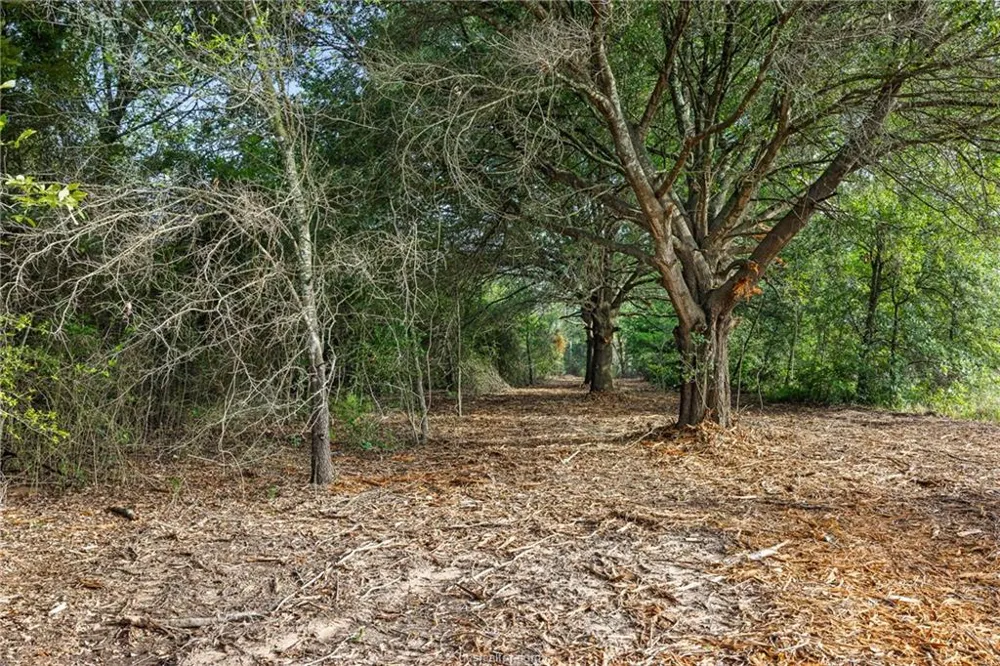 5163 County Road 358 Road Gause, TX 77857