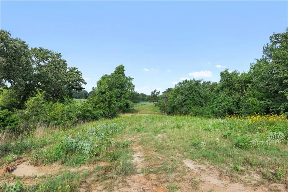 5163 County Road 358 Road Gause, TX 77857