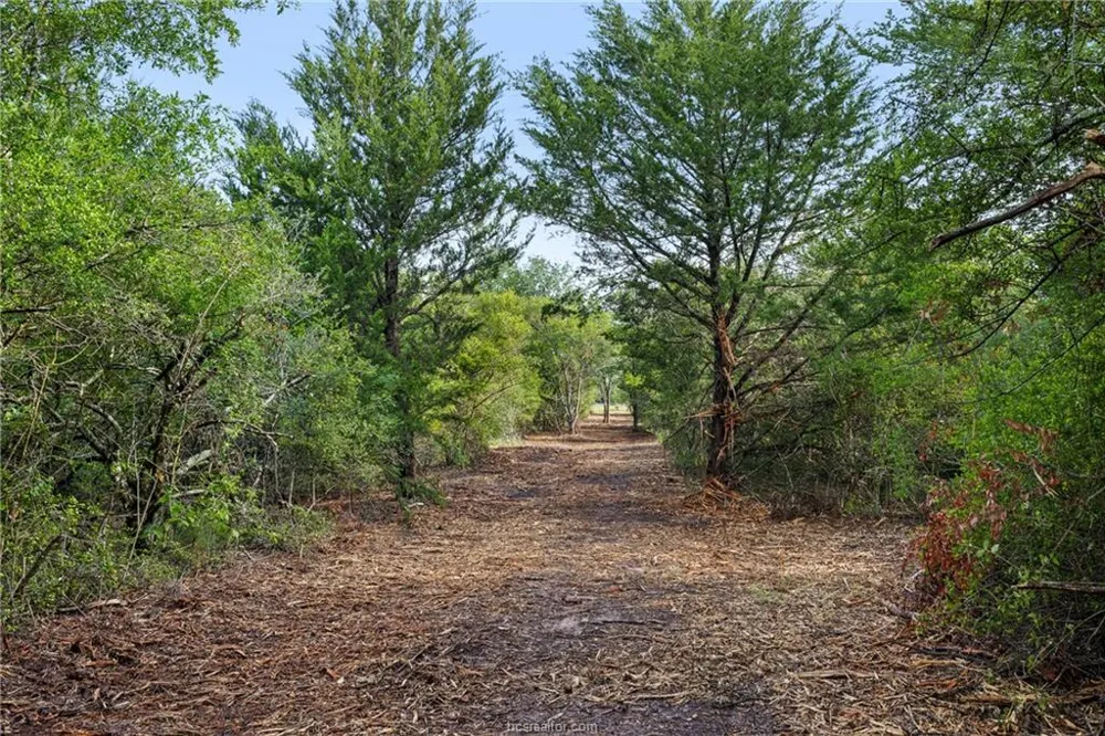 5163 County Road 358 Road Gause, TX 77857