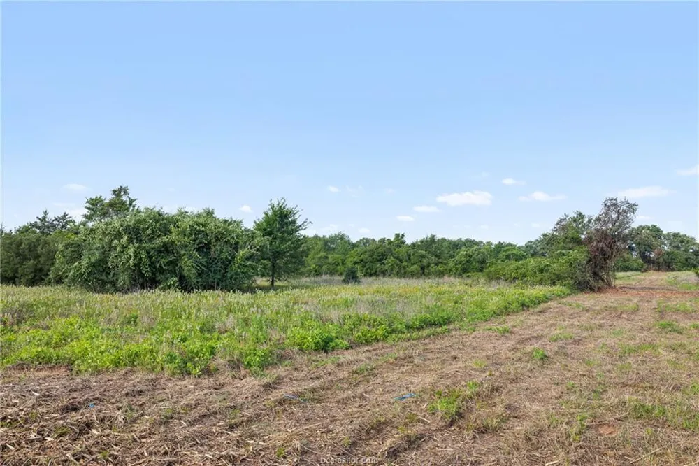 5163 County Road 358 Road Gause, TX 77857