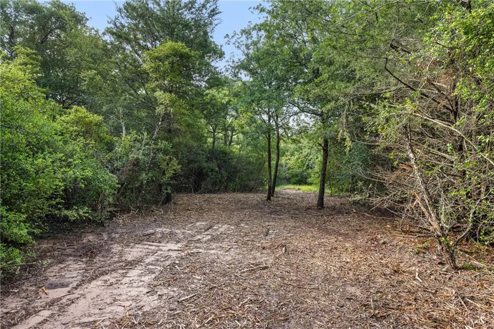 5163 County Road 358 Road Gause, TX 77857