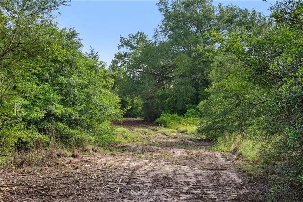 5163 County Road 358 Road Gause, TX 77857