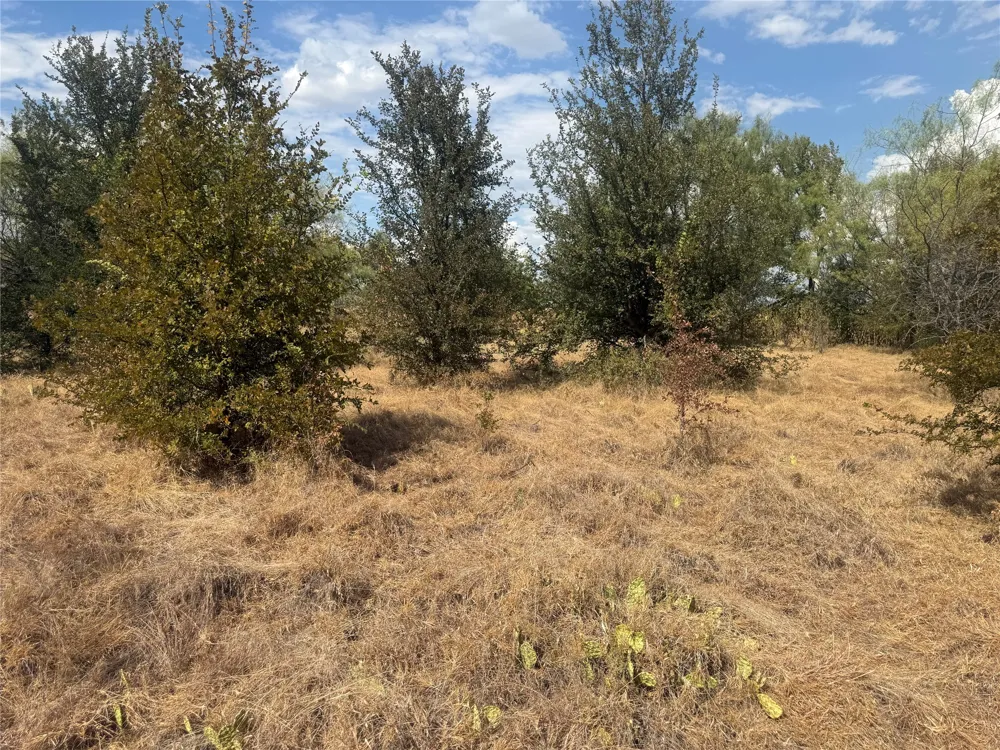 780 County Road 410A Comanche, TX 76442