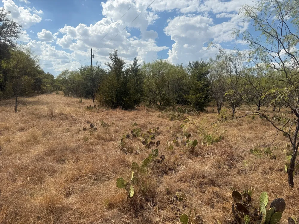 780 County Road 410A Comanche, TX 76442