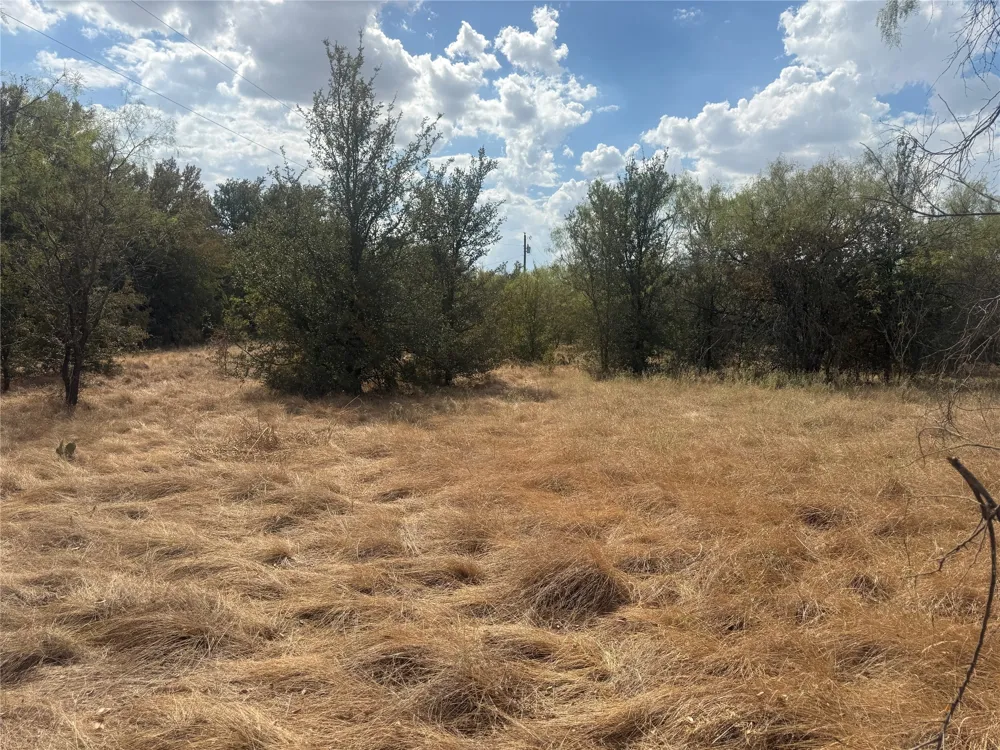 780 County Road 410A Comanche, TX 76442