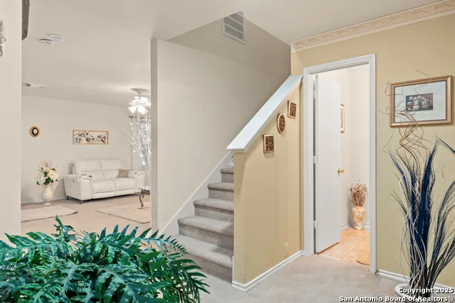 4919 Orchid Star San Antonio, TX 78218