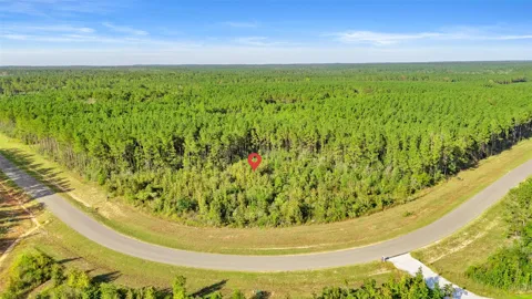 16086 Forest Mill Road